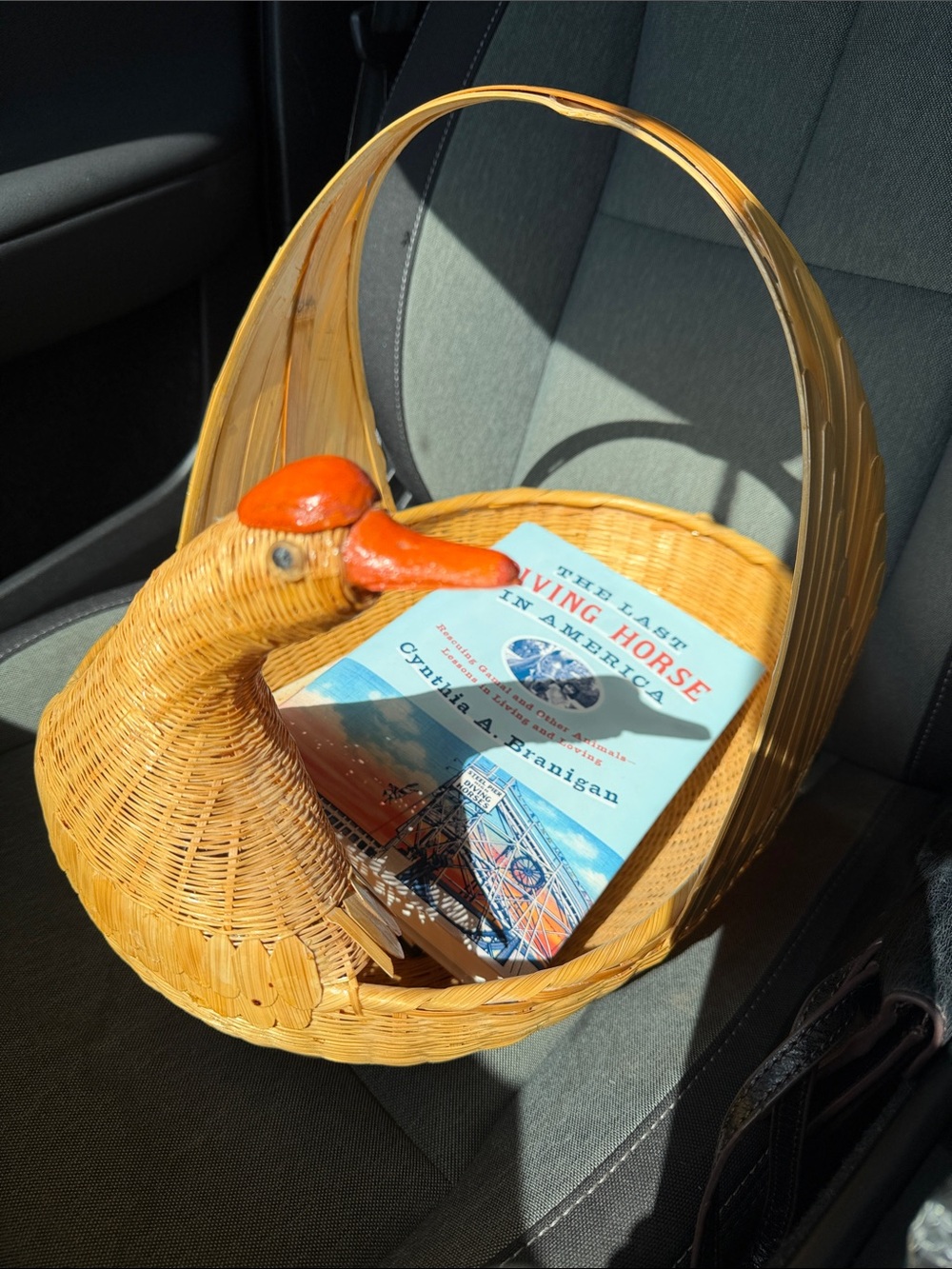 Wicker Duck Basket with Orange Beak - Unbranded